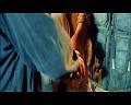 PDVD_3310