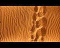 PDVD_881
