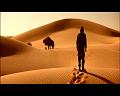 PDVD_884
