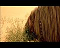 PDVD_897