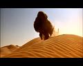 PDVD_920