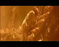 PDVD_975