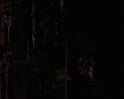PDVD_1677