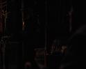 PDVD_1679