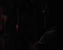 PDVD_1681