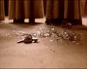 PDVD_1734