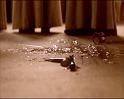 PDVD_1736