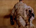 PDVD_277