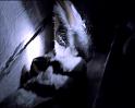 PDVD_433