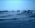 PDVD_486
