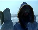 PDVD_494