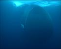 PDVD_536
