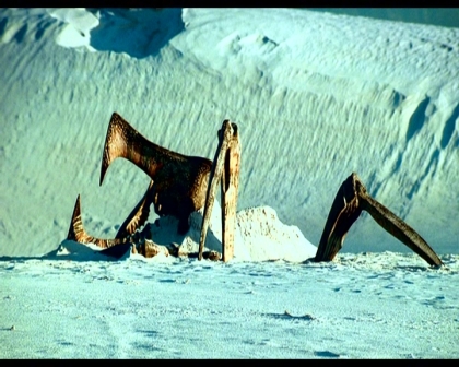 PDVD_1072.jpg