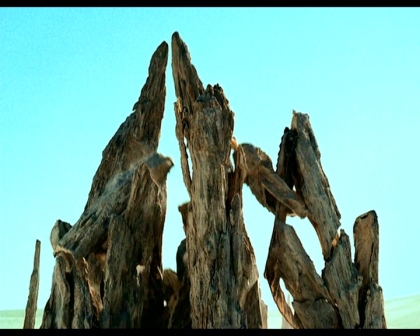 PDVD_1470.jpg