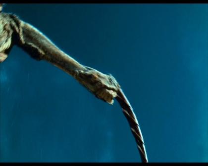 PDVD_1472.jpg