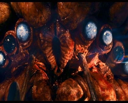 PDVD_1639.jpg