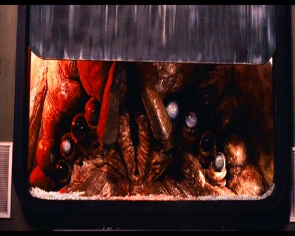 PDVD_1656.jpg