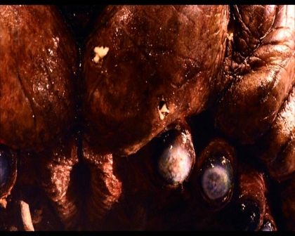 PDVD_1666.jpg