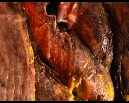 PDVD_1668.jpg