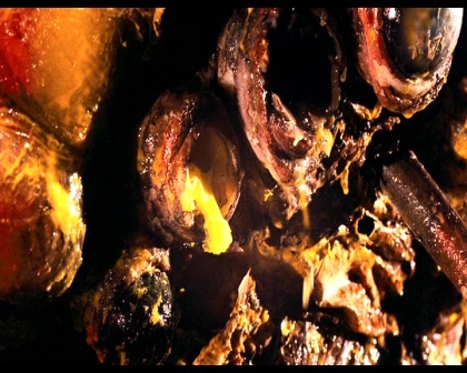 PDVD_1674.jpg
