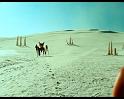 PDVD_1433