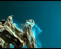 PDVD_1464