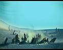 PDVD_1478