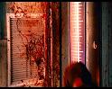 PDVD_1651