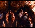PDVD_1663