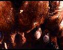 PDVD_1666