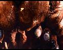 PDVD_1667