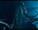 PDVD_2021