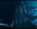 PDVD_2022