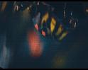PDVD_2128