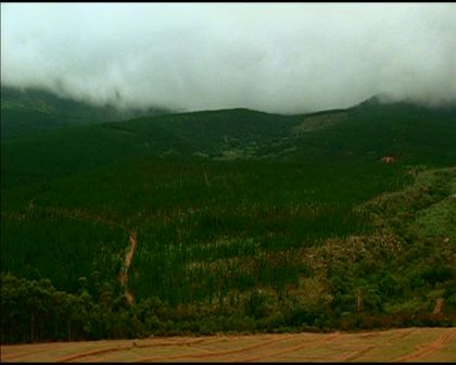 PDVD_1028.jpg