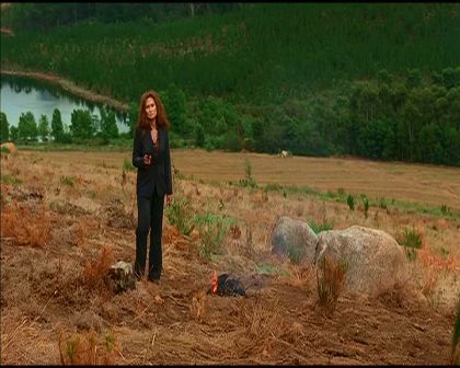 PDVD_1055.jpg