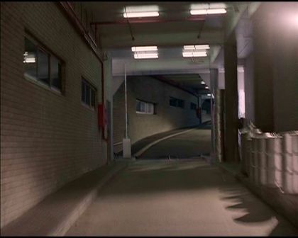 PDVD_1345.jpg