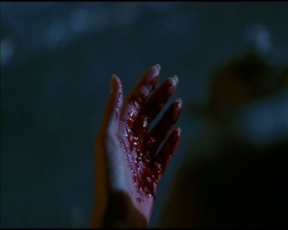 PDVD_2755.jpg