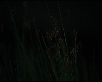 PDVD_2859.jpg