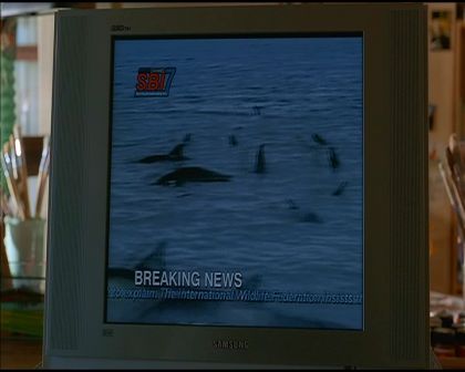 PDVD_295.jpg