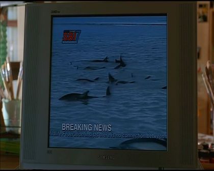PDVD_296.jpg