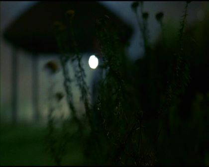 PDVD_2961.jpg