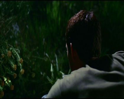PDVD_2963.jpg