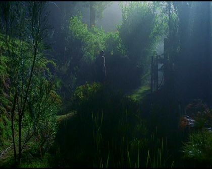 PDVD_2974.jpg