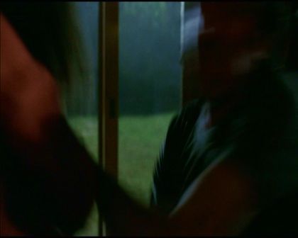 PDVD_2980.jpg