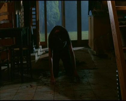 PDVD_2994.jpg