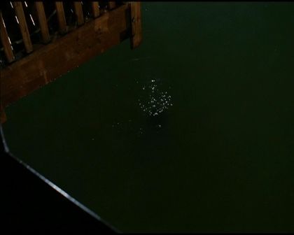 PDVD_3052.jpg