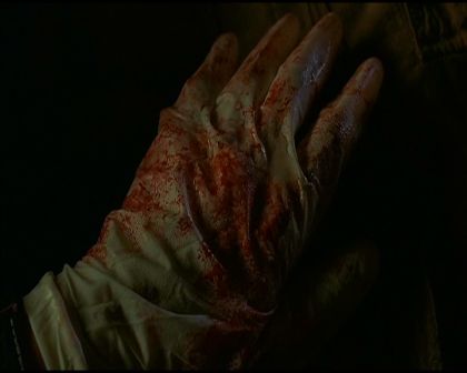 PDVD_3071.jpg