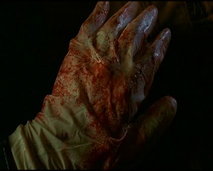 PDVD_3072.jpg