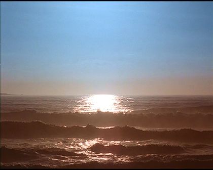 PDVD_3135.jpg